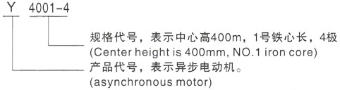 西安泰富西玛Y系列(H355-1000)高压YKS5603-8三相异步电机型号说明