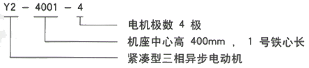 YR系列(H355-1000)高压YKS5603-8三相异步电机西安西玛电机型号说明